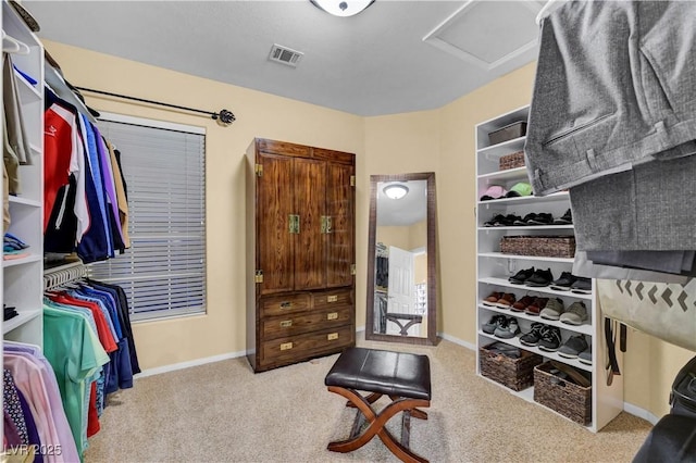 216 Chestnut Ridge Cir, Henderson, NV 89012 - spacious closet with attic access and carpet flooring