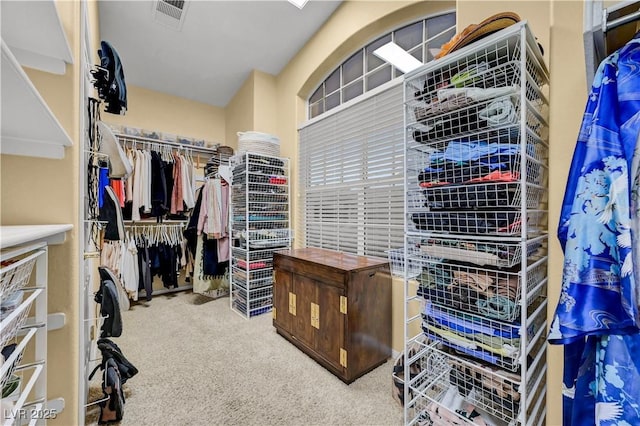 216 Chestnut Ridge Cir, Henderson, NV 89012 - spacious closet with carpet
