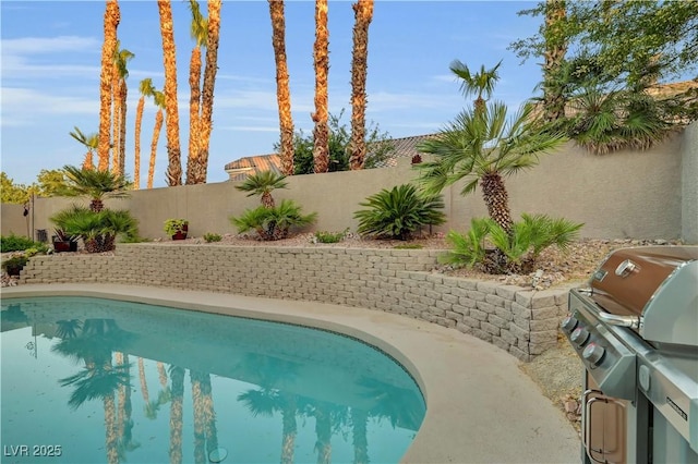 216 Chestnut Ridge Cir, Henderson, NV 89012 - view of swimming pool featuring a fenced backyard and area for grilling