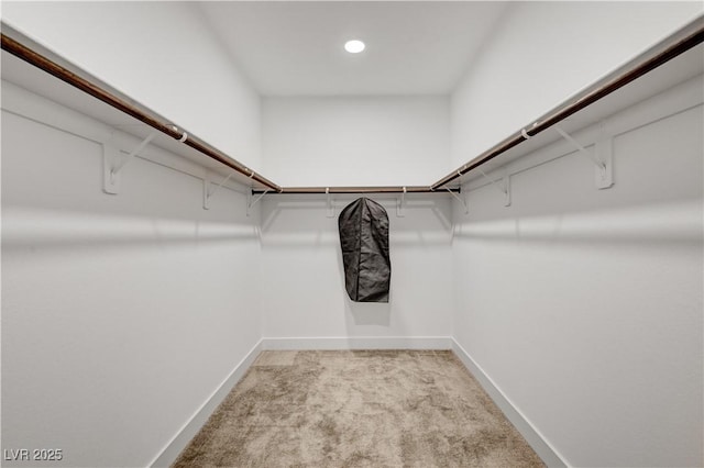 1305 Azure Jay Ave, North Las Vegas, NV 89084 - walk in closet featuring light carpet