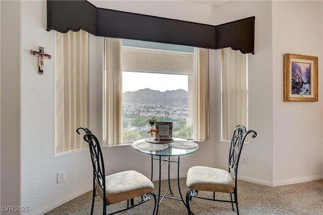 859 Renaissance St, Boulder City, NV 89005 - photo 16