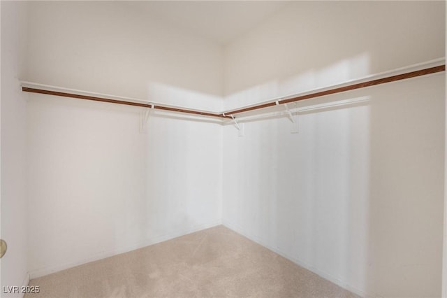 8901 Goldstone Ave, Las Vegas, NV 89143 - spacious closet with carpet