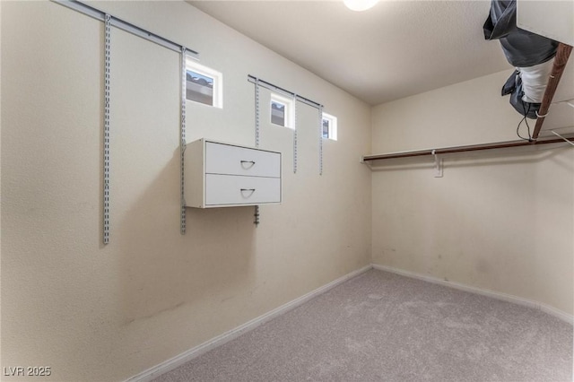 8901 Goldstone Ave, Las Vegas, NV 89143 - spacious closet featuring carpet