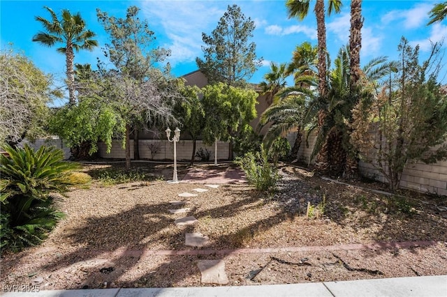 8901 Goldstone Ave, Las Vegas, NV 89143 - view of yard