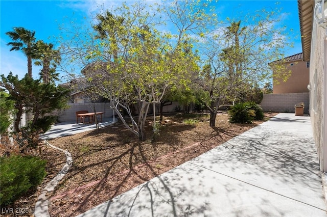 8901 Goldstone Ave, Las Vegas, NV 89143 - fenced backyard with a patio area