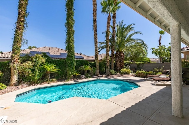 1414 Doggett Ave, Las Vegas, NV 89123 - view of swimming pool with a patio and a fenced backyard