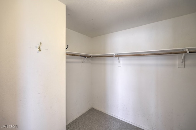 5209 Mantua Ct, Las Vegas, NV 89130 - walk in closet featuring carpet floors