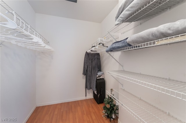 5259 Caspian Springs Dr Unit 204, Las Vegas, NV 89120 - walk in closet featuring light wood-style floors