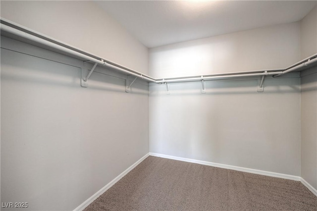 585 Foster Springs Rd, Las Vegas, NV 89148 - photo 24