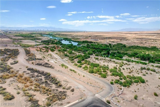 1104 Cactus Rock St, Henderson, NV 89011 - photo 82