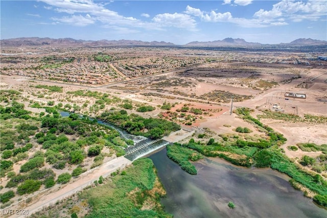 1104 Cactus Rock St, Henderson, NV 89011 - photo 84