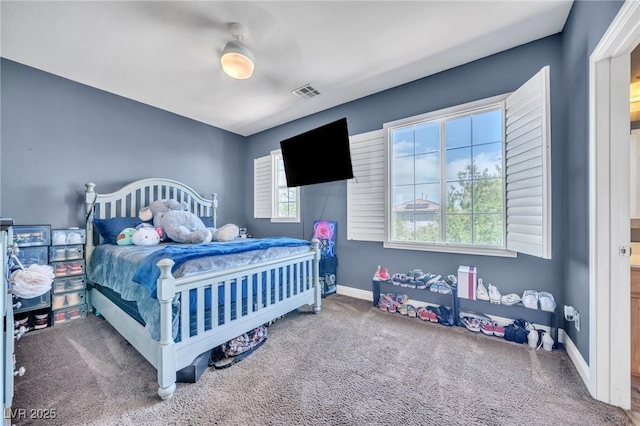10373 Hawk Ravine St, Las Vegas, NV 89178 - photo 19