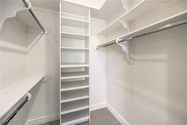 8021 Obannon Dr, Las Vegas, NV 89117 - view of walk in closet