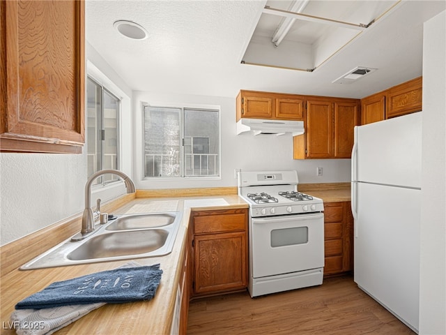 2214 Pebble Creek Ln, Laughlin, NV 89029 - kitchen with white appliances, under cabinet range hood, light countertops, light wood-style flooring, and brown cabinets