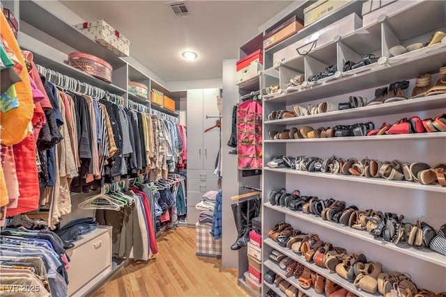 56 Ancient Hills Ln, Henderson, NV 89074 - walk in closet with light wood-style flooring