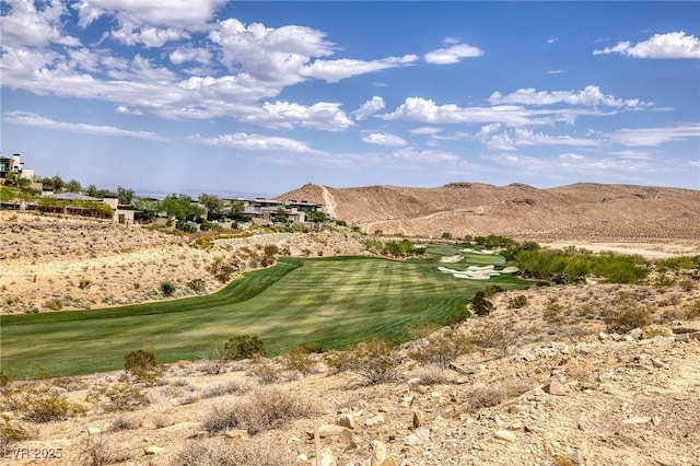 11785 Discovery Canyon Dr, Las Vegas, NV 89135 - photo 20