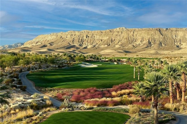 11785 Discovery Canyon Dr, Las Vegas, NV 89135 - photo 25