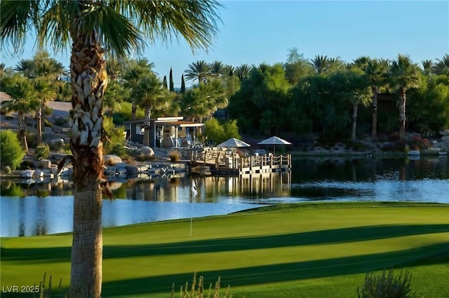 11785 Discovery Canyon Dr, Las Vegas, NV 89135 - photo 23