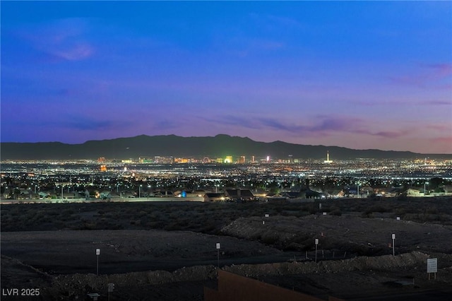 186 S Naples St, Henderson, NV 89015 - photo 88