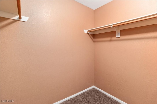 1948 Las Palmas Ln Unit 277, Laughlin, NV 89029 - spacious closet with dark carpet