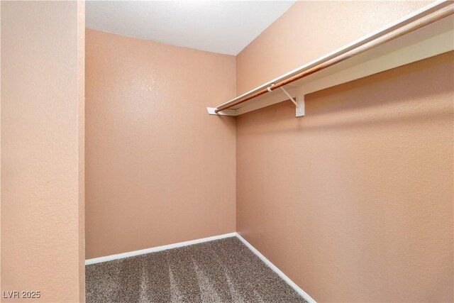 1948 Las Palmas Ln Unit 277, Laughlin, NV 89029 - spacious closet with carpet flooring
