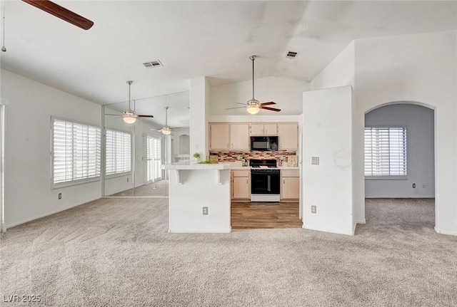 6201 E Lake Mead Blvd Unit 223, Las Vegas, NV 89156 - kitchen featuring open floor plan, a ceiling fan, light colored carpet, healthy amount of natural light, and lofted ceiling