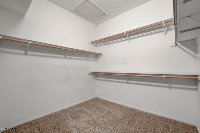 6201 E Lake Mead Blvd Unit 223, Las Vegas, NV 89156 - walk in closet with carpet floors