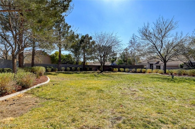10612 Primrose Arbor Ave, Las Vegas, NV 89144 - view of yard