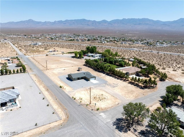520 E Kenny Ave, Pahrump, NV 89060 - photo 41