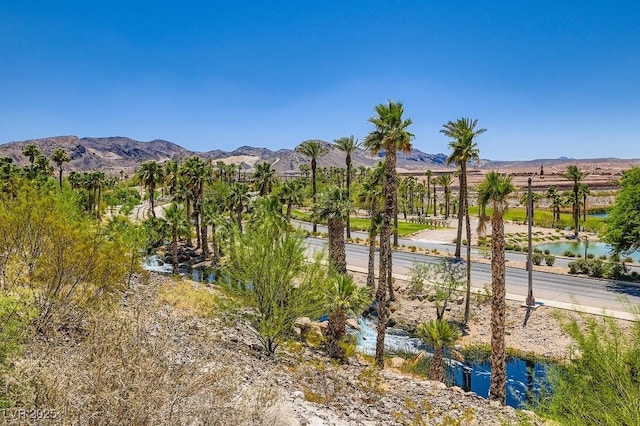 47 Alta Cascata Pl, Henderson, NV 89011 - photo 26