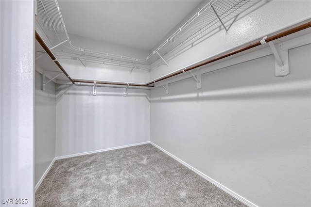 102 Harbor View Dr Unit 102, Boulder City, NV 89005 - photo 20