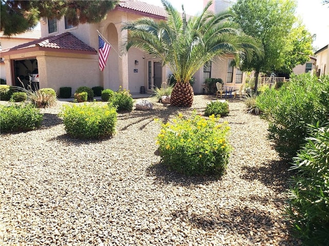 4816 Fiesta Lakes St, Las Vegas, NV 89130 - view of yard
