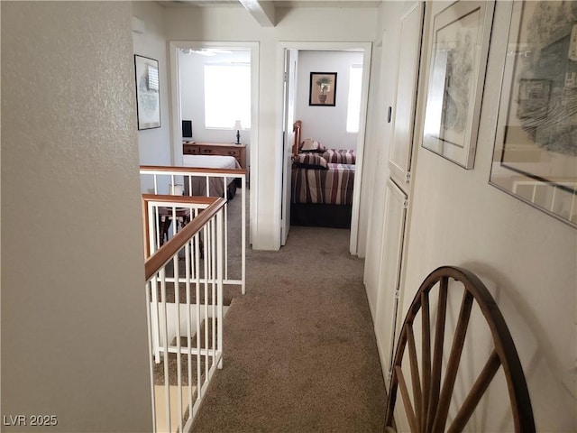 4816 Fiesta Lakes St, Las Vegas, NV 89130 - hallway featuring carpet floors