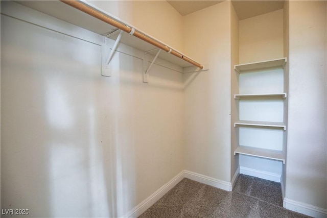 1155 Heavenly Harvest Pl Unit 3, Henderson, NV 89002 - spacious closet featuring carpet floors
