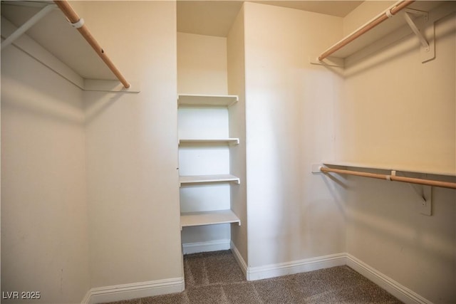 1155 Heavenly Harvest Pl Unit 3, Henderson, NV 89002 - spacious closet featuring carpet floors