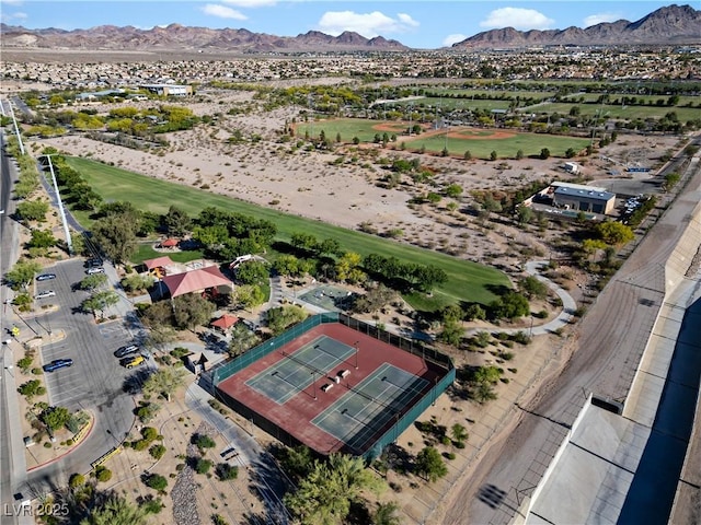 258 Chamomile Dr, Henderson, NV 89015 - photo 52