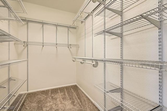 193 Lynbrook St, Henderson, NV 89012 - spacious closet with carpet floors