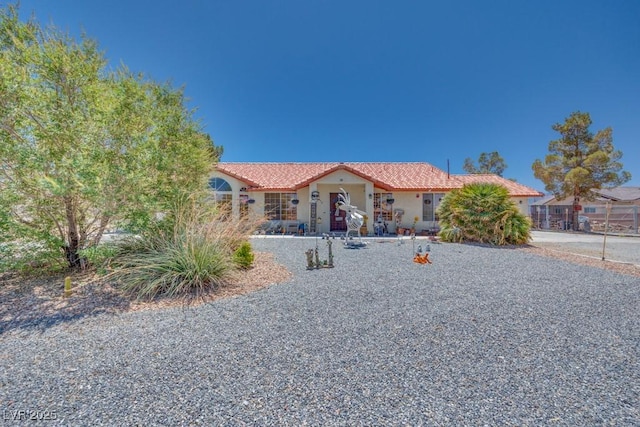 1311 Gray Fox Way, Pahrump, NV 89048 - photo 13