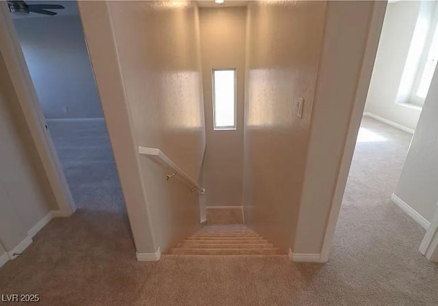 242 Botanic Gardens Dr, Las Vegas, NV 89148 - photo 25