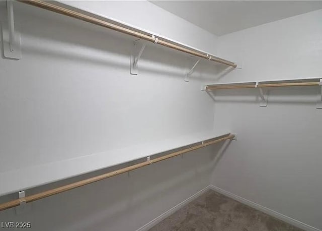 242 Botanic Gardens Dr, Las Vegas, NV 89148 - photo 37