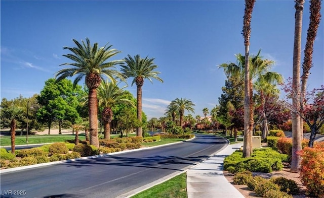 242 Botanic Gardens Dr, Las Vegas, NV 89148 - photo 50