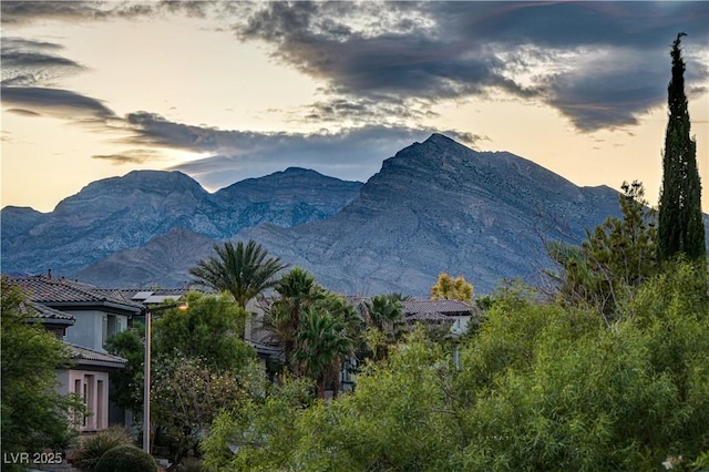 712 Tandoori Ln, Las Vegas, NV 89138 - photo 88