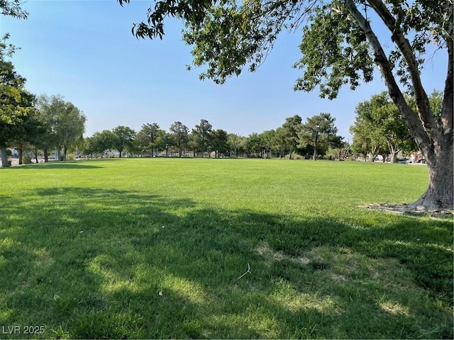680 Bonanza Plain Ave, Henderson, NV 89011 - photo 55