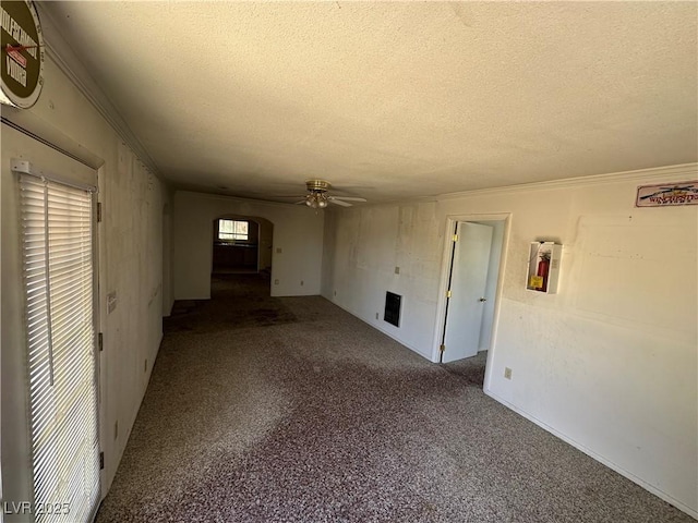 336 Hoffman St, Pioche, NV 89043 - photo 12