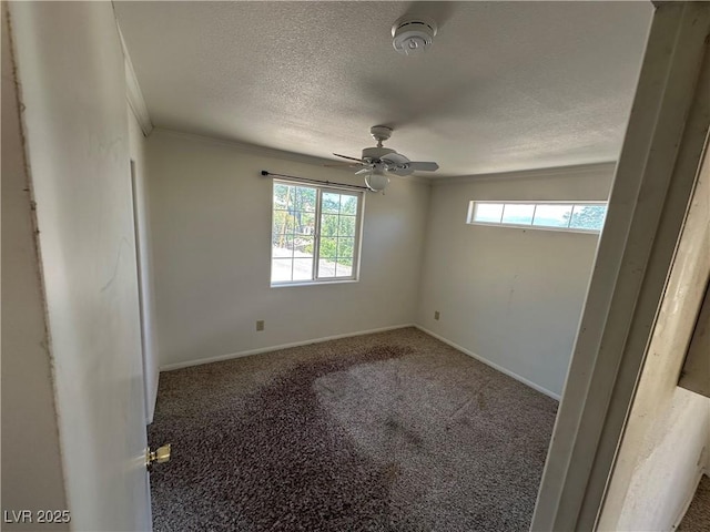 336 Hoffman St, Pioche, NV 89043 - photo 13