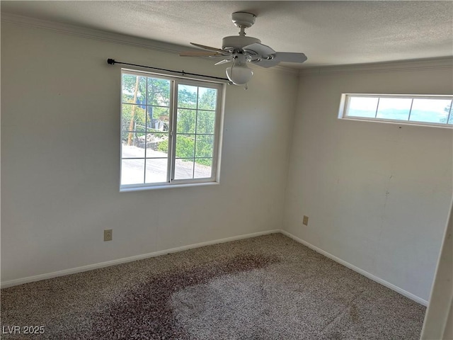 336 Hoffman St, Pioche, NV 89043 - photo 14