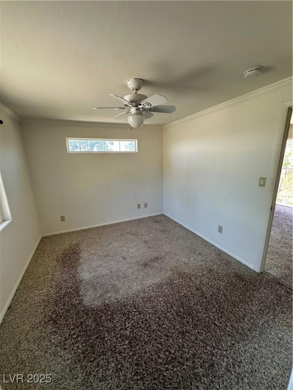 336 Hoffman St, Pioche, NV 89043 - photo 22