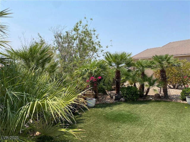 2345 Minolta Ct, Henderson, NV 89044 - view of green lawn