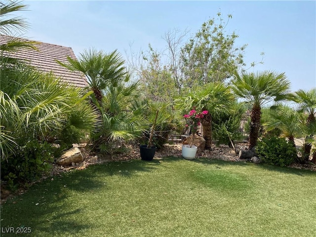 2345 Minolta Ct, Henderson, NV 89044 - view of grassy yard