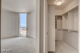 2877 Paradise Rd Unit 904, Las Vegas, NV 89109 - view of spacious closet